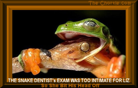The snake's dentist exam was too intimate for Liz, so she bit his head off