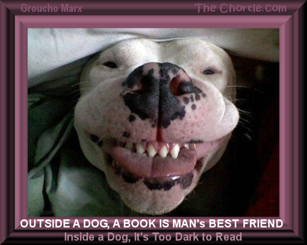 Outside a dog, a book is man's best friend. Inside a dog, it's too dark to read. Groucho Marx