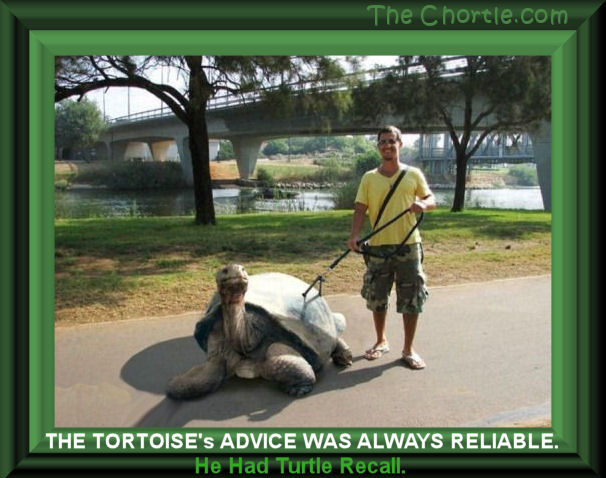The tortoise's advice was always reliable. He had turtle recall.