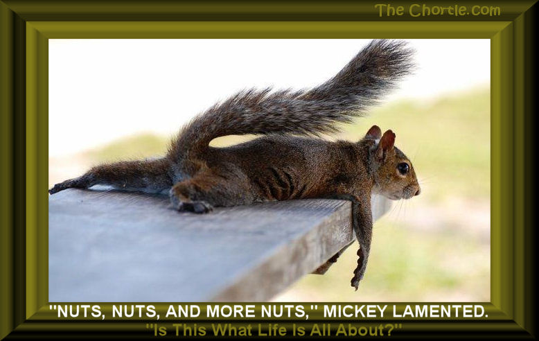 "Nuts, nuts, and more nuts," Mickey lamented. "Is this what life is all about?"