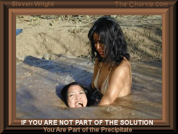 If you are not part of the solution, you are part of the precipitate - Steven Wright