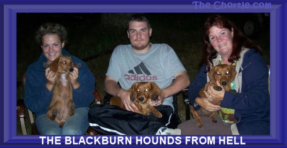 The Blackburn hounds from hell