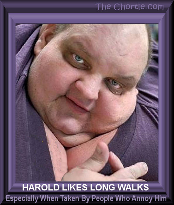 Harold likes long walks especially when taken by people who annoy him.