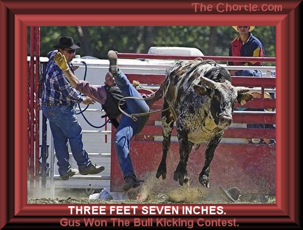 Three feet seven inches. Gus won the bull kicking contest.