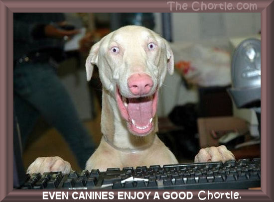 Even canines enjoy a good chortle.