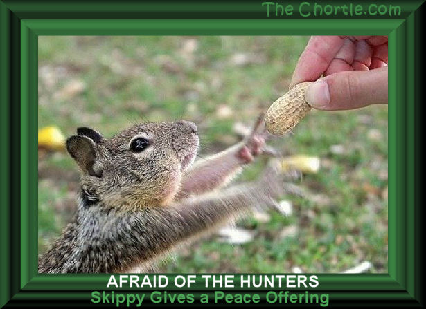 Afraid ot the hunters, Skippy gives a peace offering.
