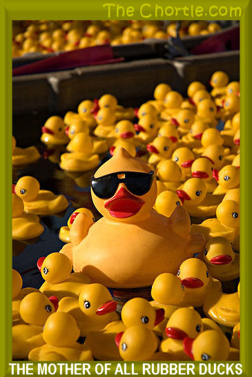 The mother of all rubber ducks 