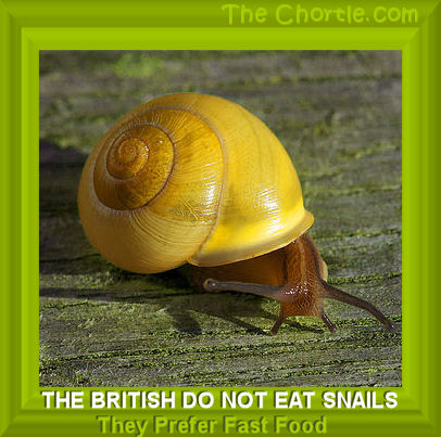 The British do not eat snails. They prefer fast food.