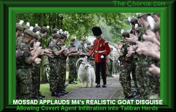 Mossad applauds M4's realistic goat disguise allowing covert agent infiltration into Taliban herds.