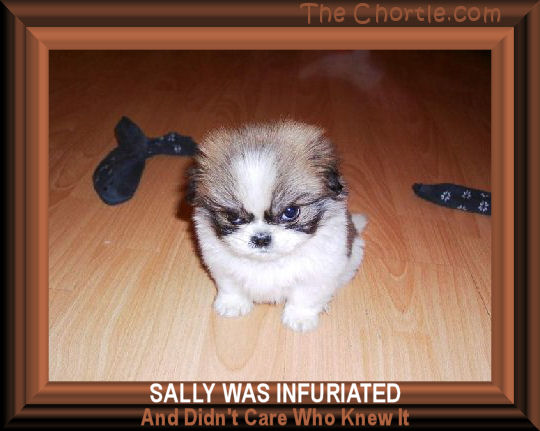 Sally was infuriated and didn't care who knew it.