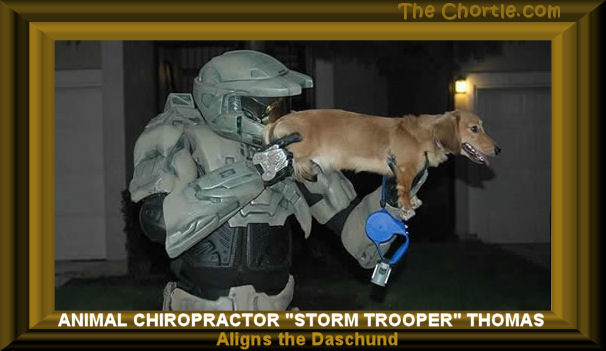 Animal chiropractor, "Storm Trooper" Thomas, aligns the daschund.