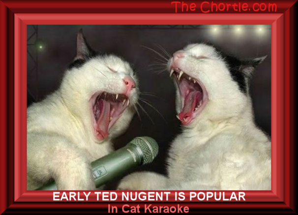Early Ted Nugent is popular in cat karaoke
