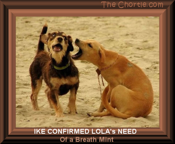 Ike confirmed Lola's need of a breath mint 
