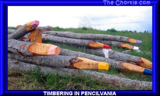 Timbering in Pencilvania