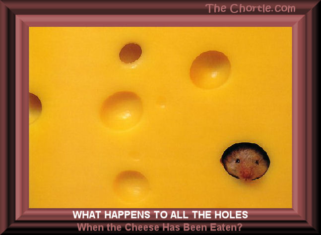 What happens to all the holes when the cheese has been eaten?