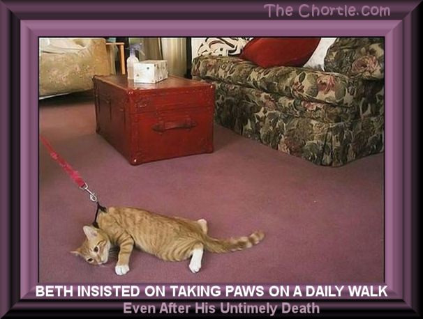 Beth insisted on taking Paws on a daily walk, even after his untimely death.