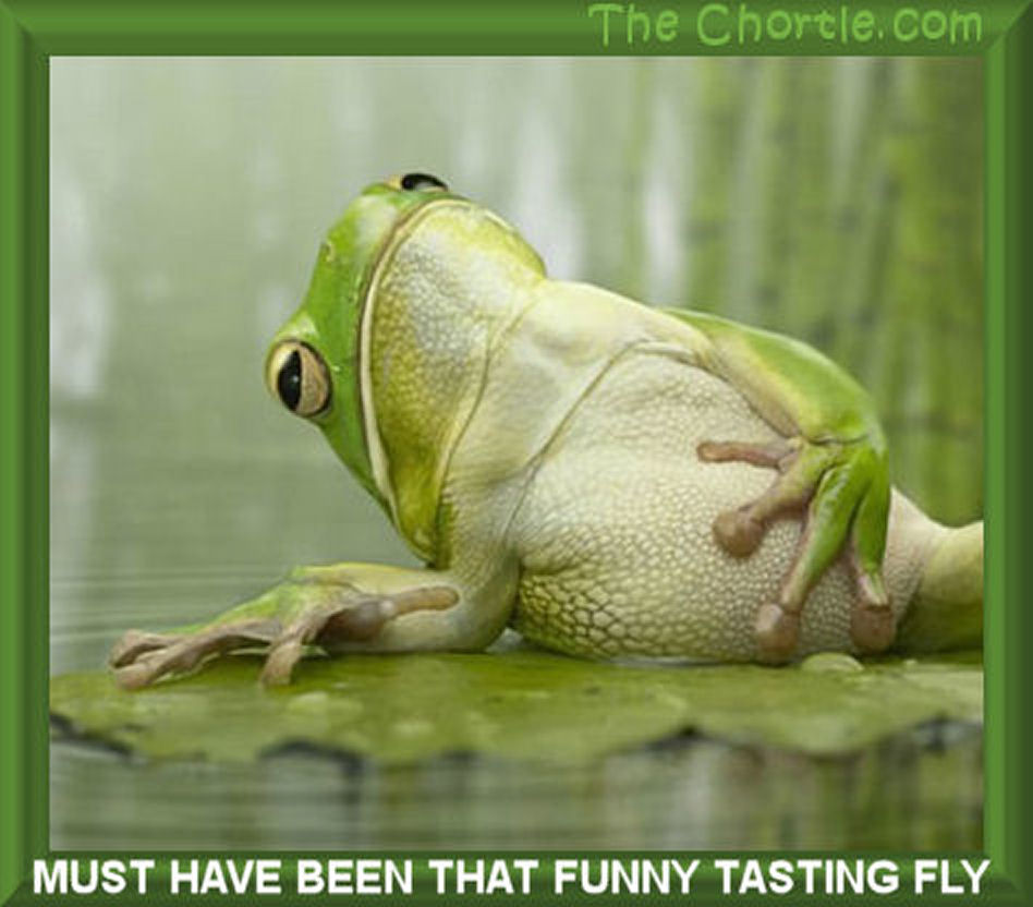 Must have been that funny tasting fly