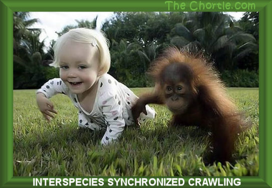 Interspecies synchronized crawling.