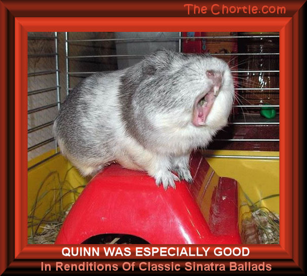 Quinn was especially good in renditions of classic Sinatra ballads.