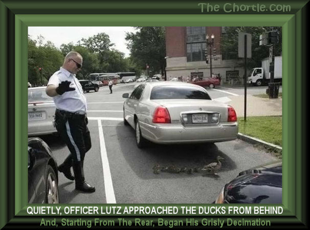 Quietly, Officer Lutz approached the ducks from behind and, starting from the rear, began the grisly decimation.
