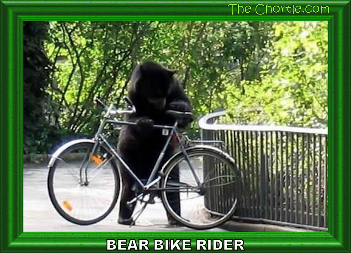 Bear bike riders