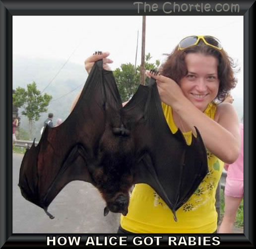 How Alice got rabies