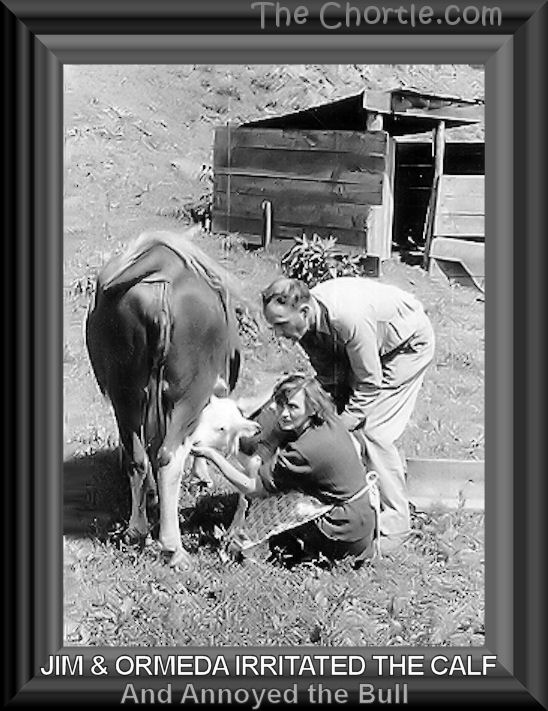 Jim & Ormeda irritated the calf and annoyed the bull.
