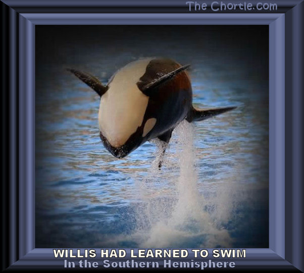 Willis had learned to swim in the southern hemisphere.