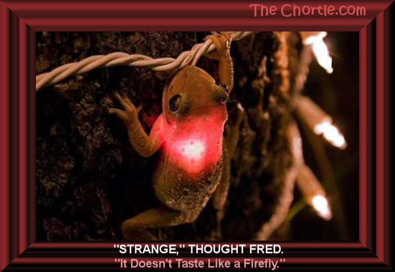 "Strange," thought Fred. "It doesn't taste like a firefly."