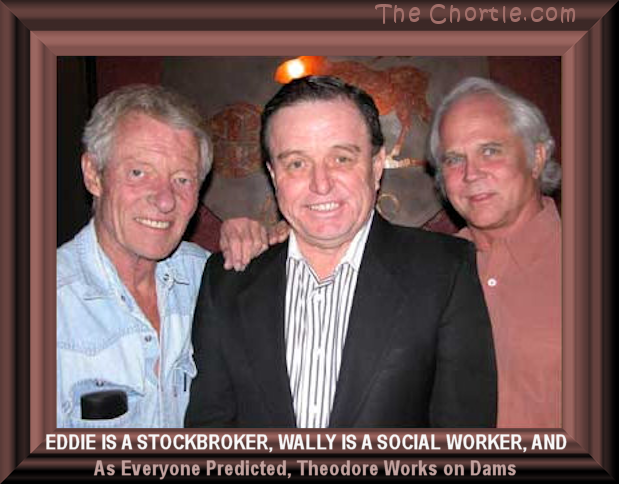 Eddie is a stockbroker, Wally is a social worker, as, as everyone predicted, Theodore worked on dams.