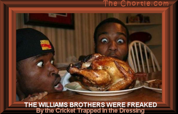 The Williams brothers were freaked by the cricket trapped in the dressing.