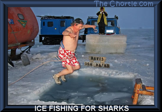 Ice fishing for sharks.