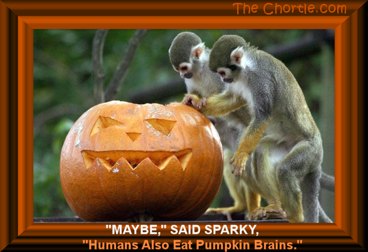 "Maybe" said Sparky. "Humans also eat pumpkin brains."