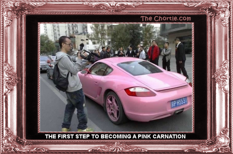 The first step to becoming a pink carnation.