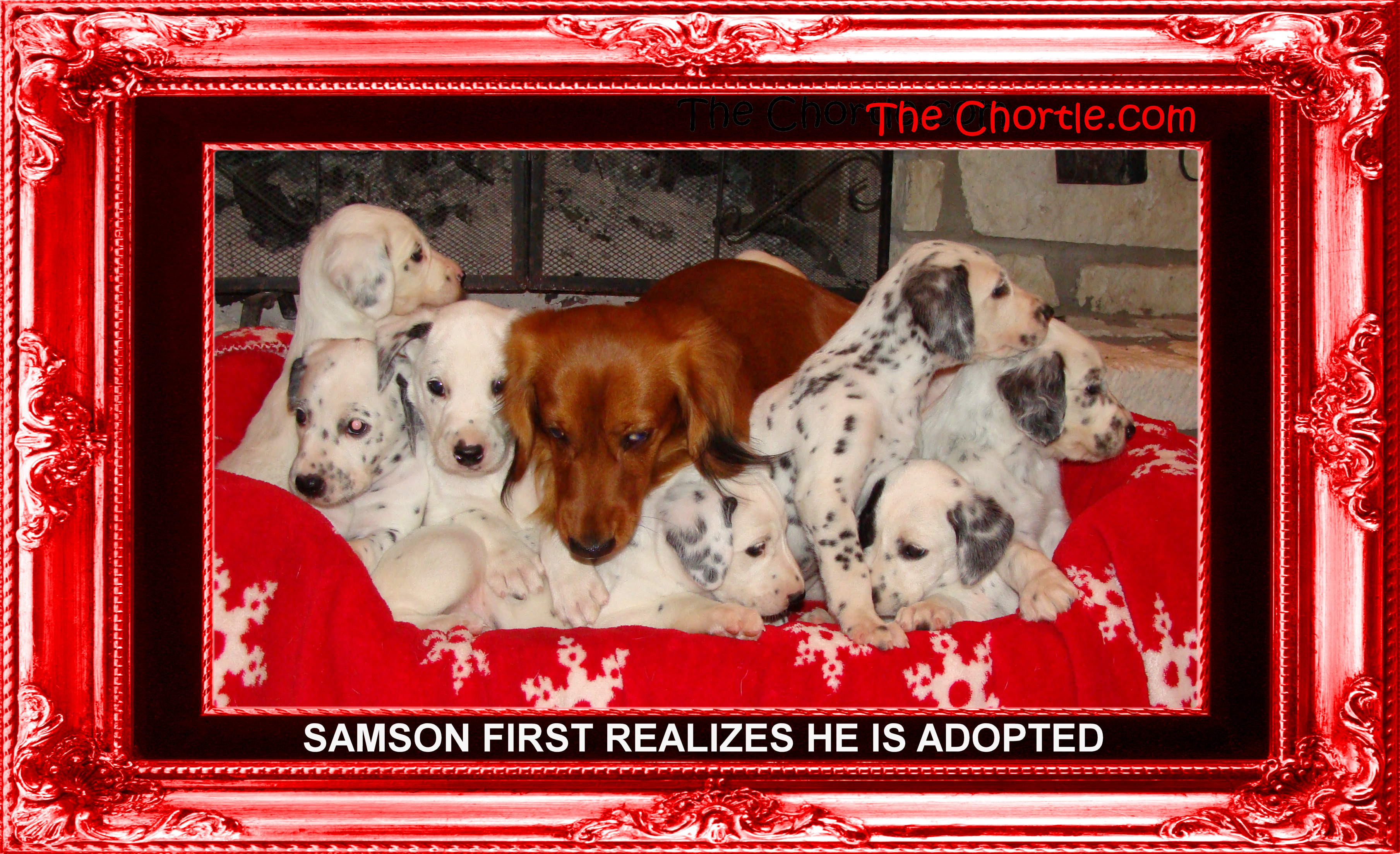 Samson first realizes he is adopted.