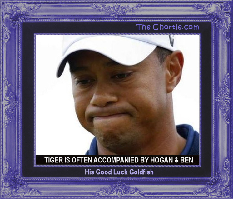 Tiger is often accompanied by Hogan and Ben, His Good Luck Goldfish.