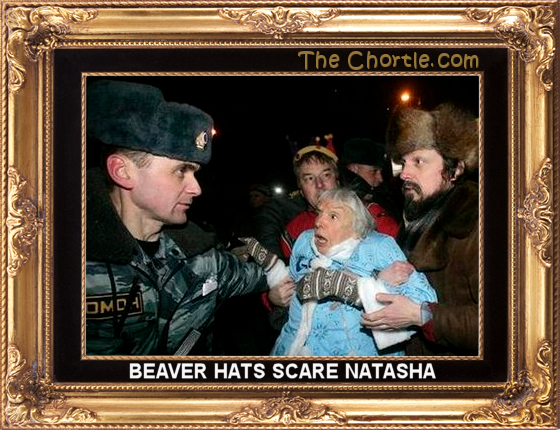 Beaver hats scare Natasha