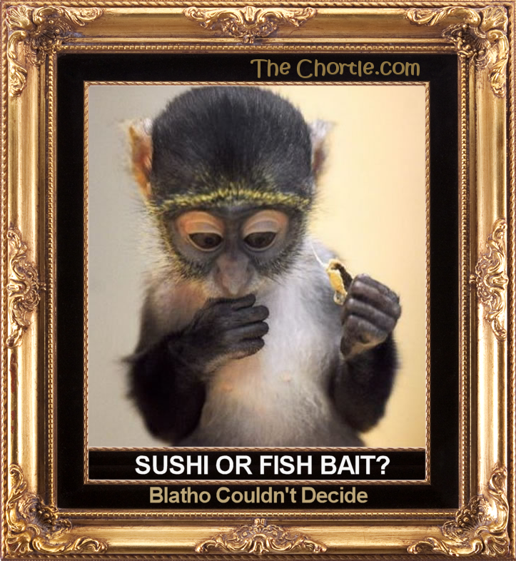 Sushi or fish bait?  Blatho couldn't decide.