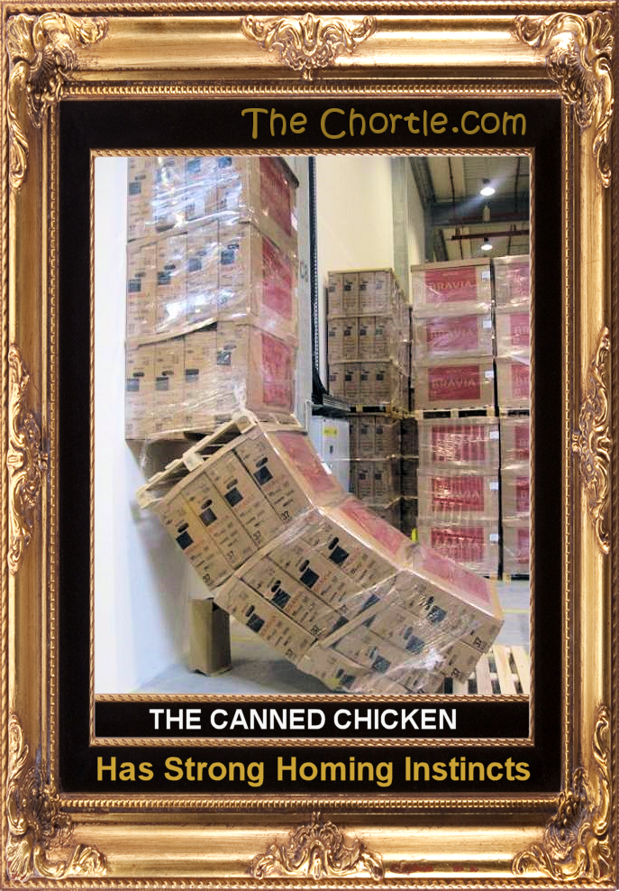 The canned chicken has strong homing instincts.