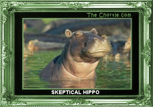 Skeptical hippo.