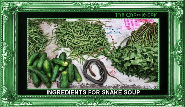 Ingredients for snake soup.