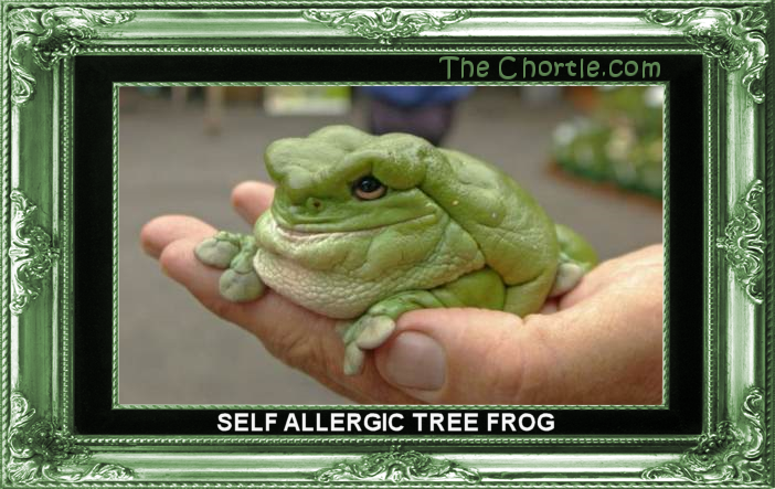 Self allergic tree frog.