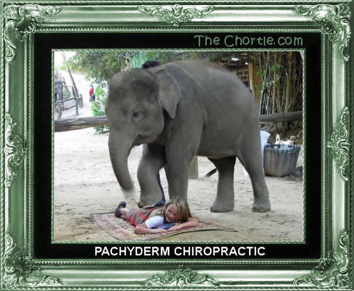 Pachyderm Chiropractic