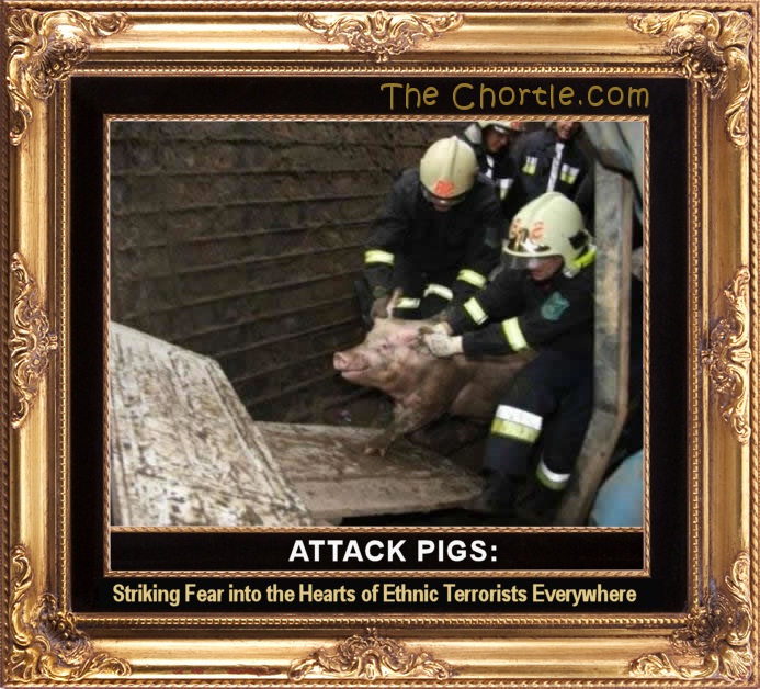 Attack pigs: Striking fear into the hearts of ethnic terrorists everywhere.