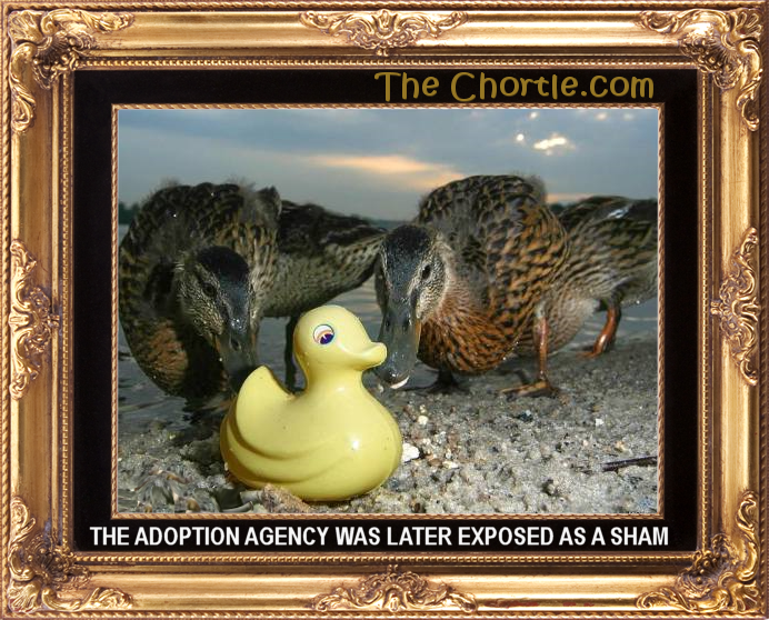 The adoption agency was later exposed as a sham.