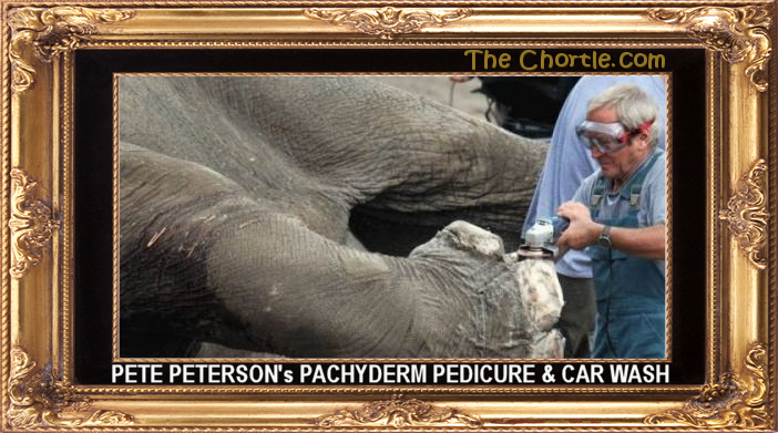Pete Peterson's Pachyderm Pedicure & Car Wash