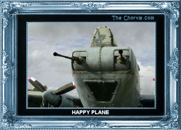 Happy plane