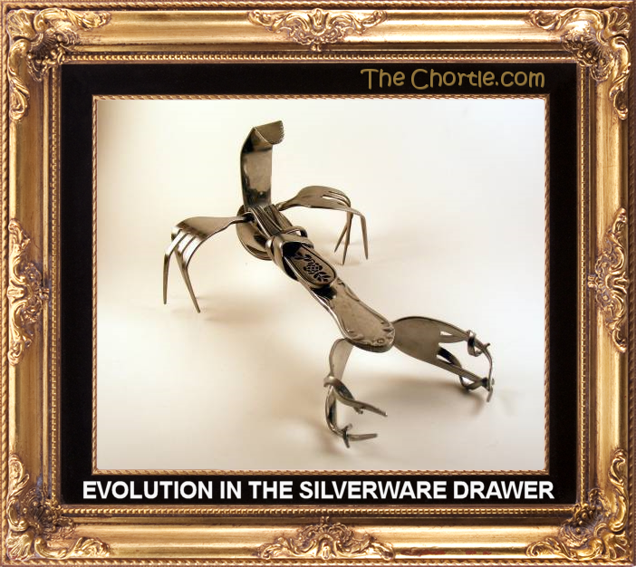 Evolution in the silverware drawer