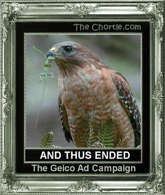 And thus ended the Geico ad campaaign.