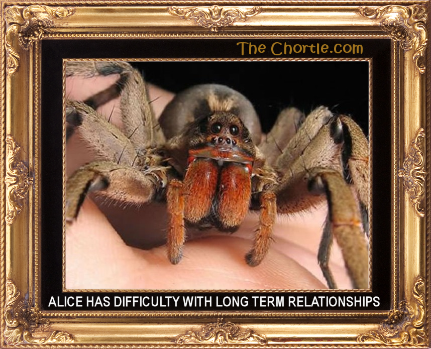 Alice has difficulty with long term relationships.